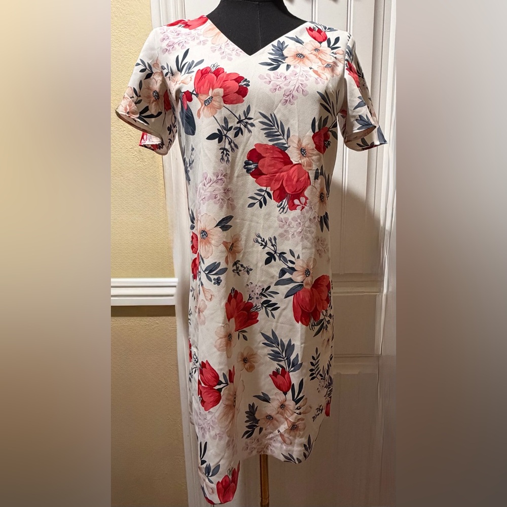 Ann Taylor Red and Pink Floral Dress